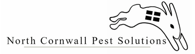 Pest prevention specialists, North Cornwall Pest Solutions